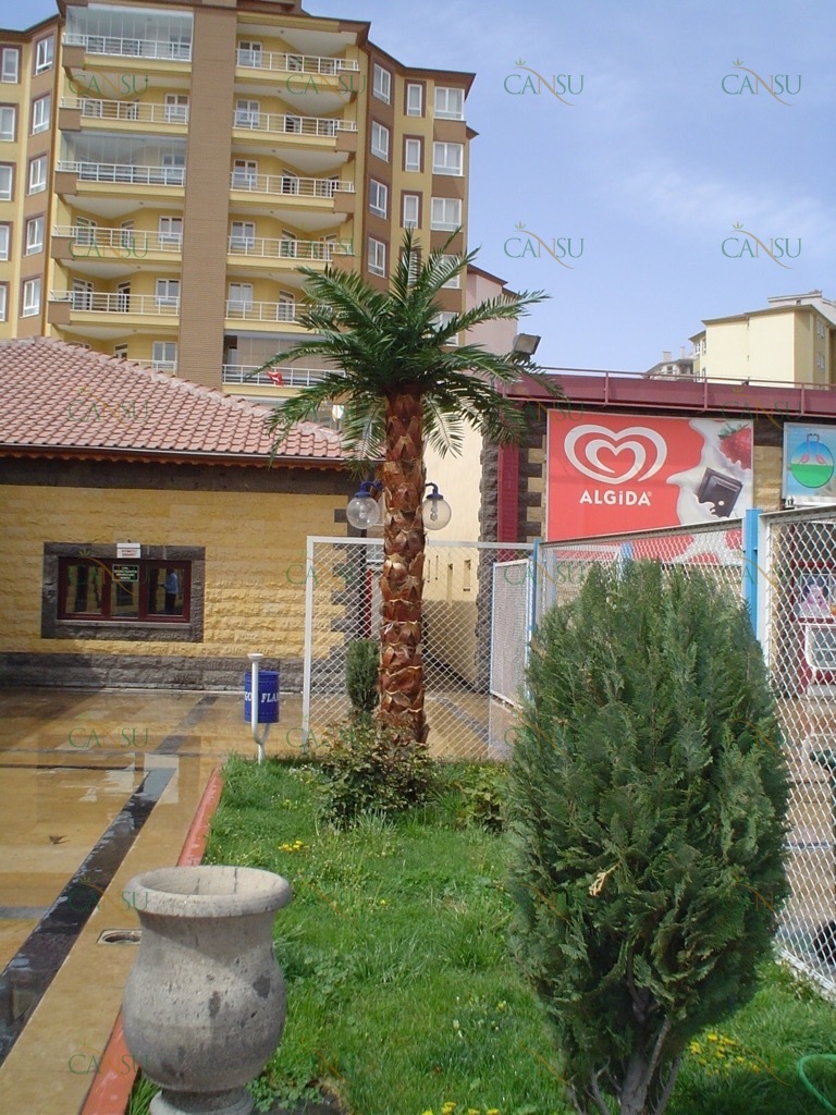 Palmiye, Palmiye Ağacı, Yapay Palmiye, Şoklanmış Palmiye, Yapay Palmiye Ağacı, Şoklanmış Palmiye Ağacı