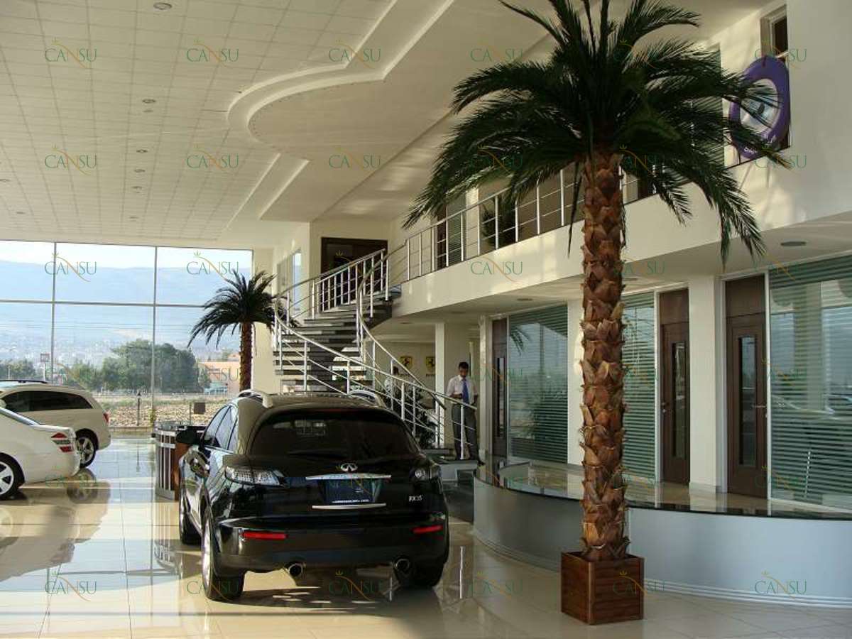 Palmiye, Palmiye Ağacı, Yapay Palmiye, Şoklanmış Palmiye, Yapay Palmiye Ağacı, Şoklanmış Palmiye Ağacı