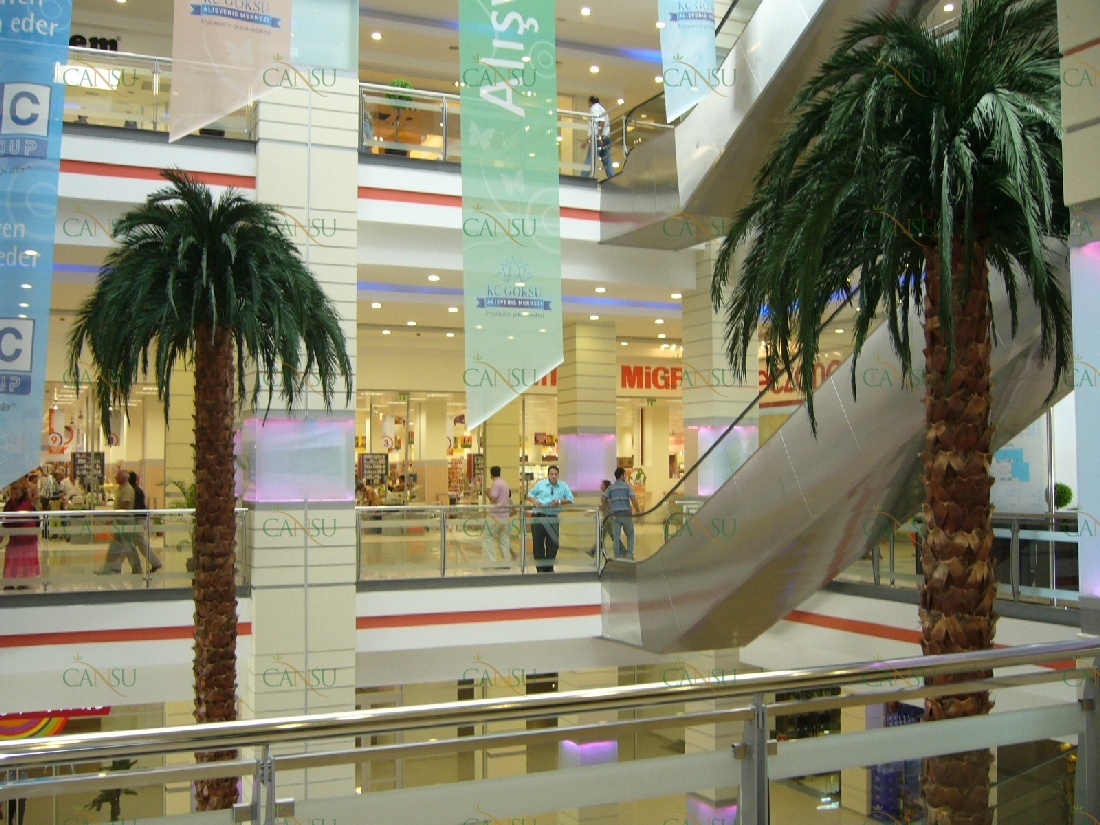 Palmiye, Palmiye Ağacı, Yapay Palmiye, Şoklanmış Palmiye, Yapay Palmiye Ağacı, Şoklanmış Palmiye Ağacı