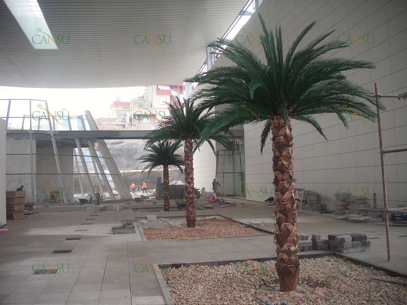 Palmiye, Palmiye Ağacı, Yapay Palmiye, Şoklanmış Palmiye, Yapay Palmiye Ağacı, Şoklanmış Palmiye Ağacı