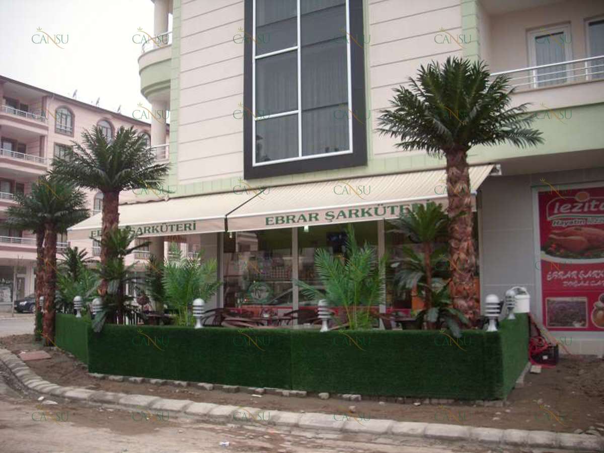 Palmiye, Palmiye Ağacı, Yapay Palmiye, Şoklanmış Palmiye, Yapay Palmiye Ağacı, Şoklanmış Palmiye Ağacı