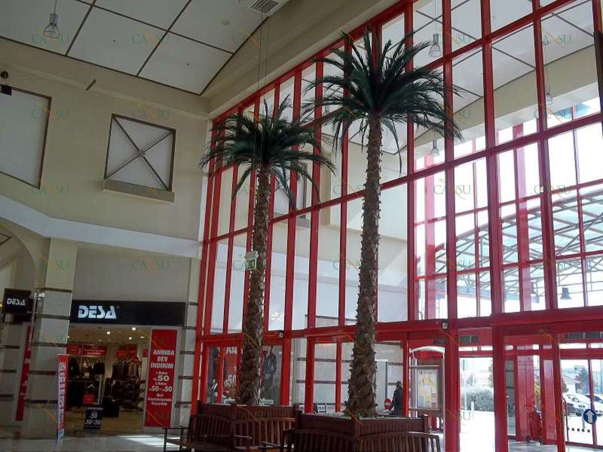 Palmiye, Palmiye Ağacı, Yapay Palmiye, Şoklanmış Palmiye, Yapay Palmiye Ağacı, Şoklanmış Palmiye Ağacı