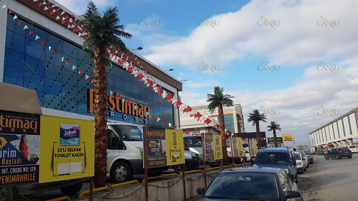 Palmiye, Palmiye Ağacı, Yapay Palmiye, Şoklanmış Palmiye, Yapay Palmiye Ağacı, Şoklanmış Palmiye Ağacı