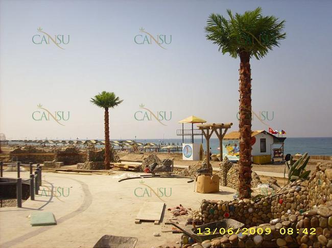 Palmiye, Palmiye Ağacı, Yapay Palmiye, Şoklanmış Palmiye, Yapay Palmiye Ağacı, Şoklanmış Palmiye Ağacı