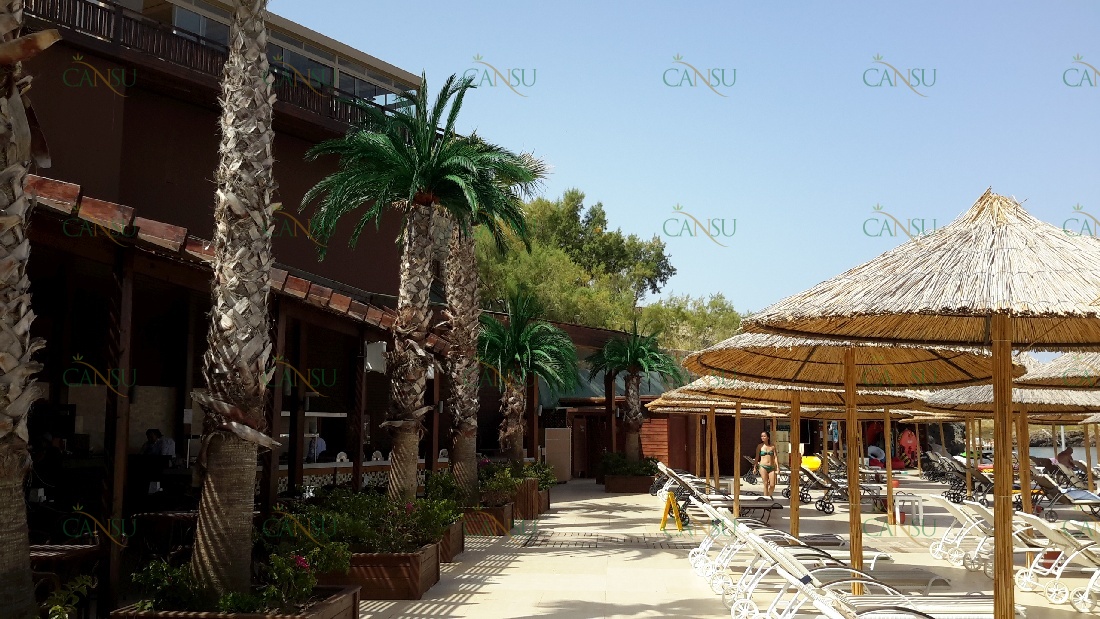 Palmiye, Palmiye Ağacı, Yapay Palmiye, Şoklanmış Palmiye, Yapay Palmiye Ağacı, Şoklanmış Palmiye Ağacı