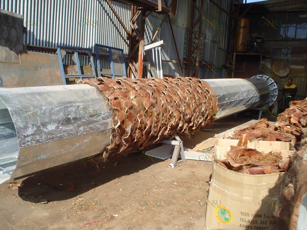 Palmiye, Palmiye Ağacı, Yapay Palmiye, Şoklanmış Palmiye, Yapay Palmiye Ağacı, Şoklanmış Palmiye Ağacı