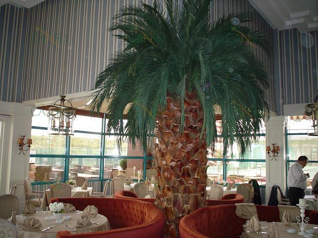 Palmiye, Palmiye Ağacı, Yapay Palmiye, Şoklanmış Palmiye, Yapay Palmiye Ağacı, Şoklanmış Palmiye Ağacı