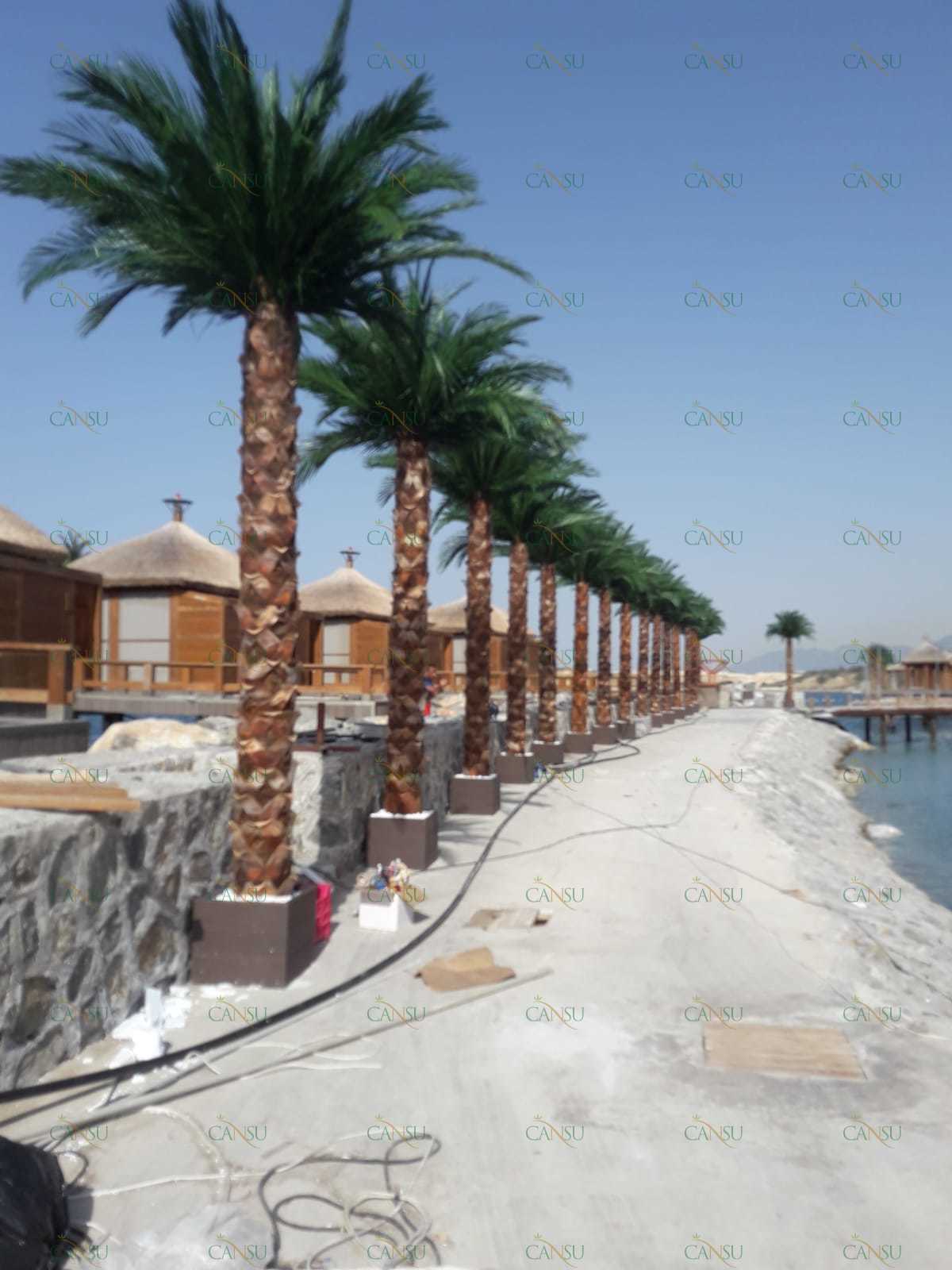 Palmiye, Palmiye Ağacı, Yapay Palmiye, Şoklanmış Palmiye, Yapay Palmiye Ağacı, Şoklanmış Palmiye Ağacı