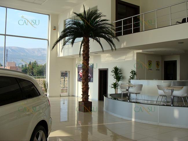 Palmiye, Palmiye Ağacı, Yapay Palmiye, Şoklanmış Palmiye, Yapay Palmiye Ağacı, Şoklanmış Palmiye Ağacı