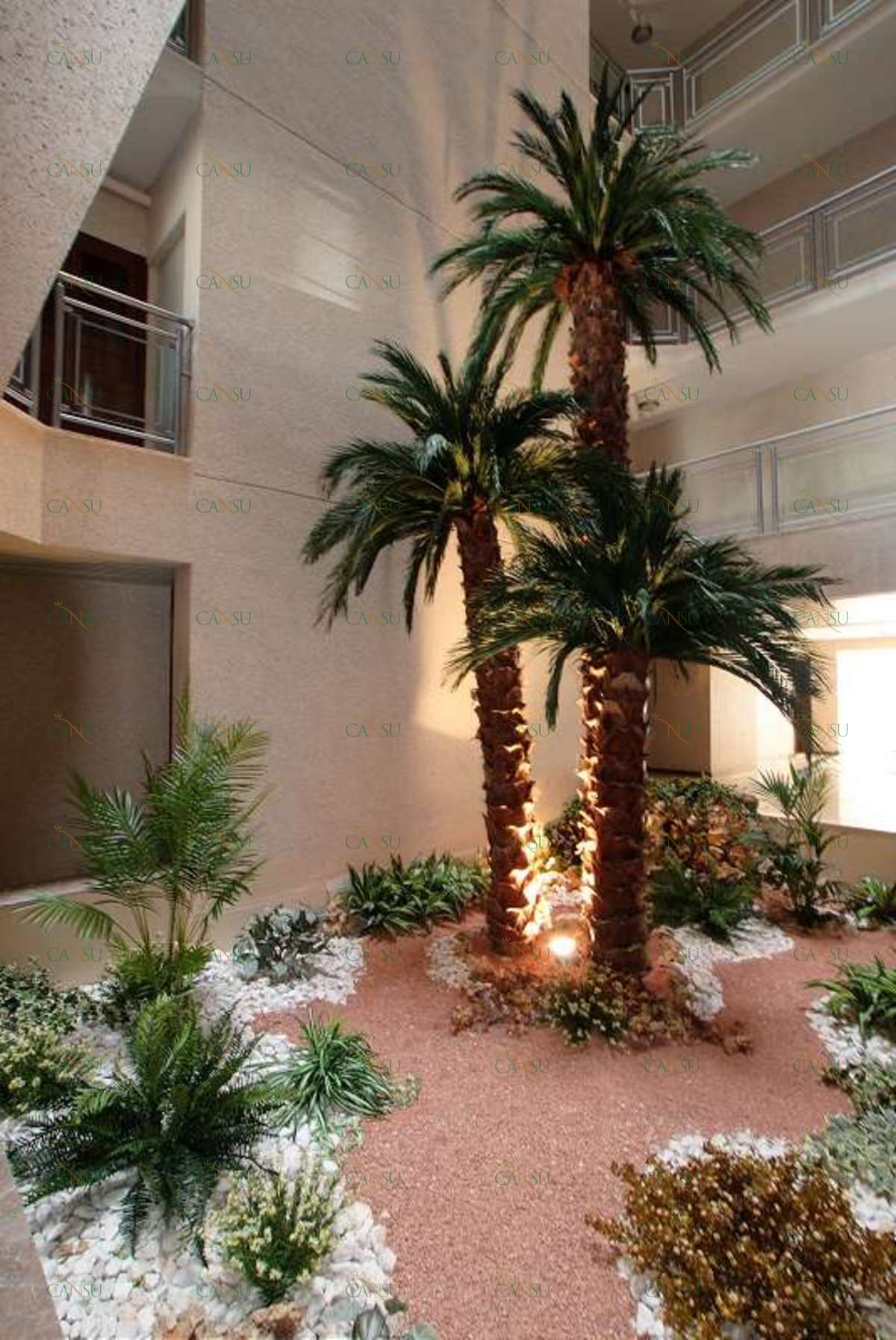 Palmiye, Palmiye Ağacı, Yapay Palmiye, Şoklanmış Palmiye, Yapay Palmiye Ağacı, Şoklanmış Palmiye Ağacı