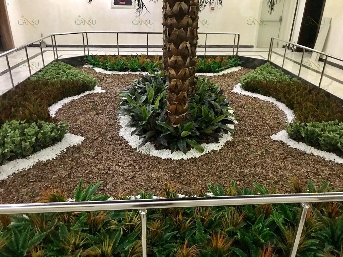 Palmiye, Palmiye Ağacı, Yapay Palmiye, Şoklanmış Palmiye, Yapay Palmiye Ağacı, Şoklanmış Palmiye Ağacı