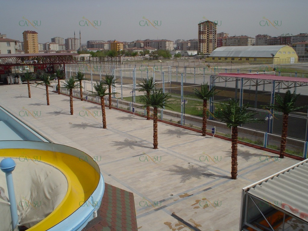 Palmiye, Palmiye Ağacı, Yapay Palmiye, Şoklanmış Palmiye, Yapay Palmiye Ağacı, Şoklanmış Palmiye Ağacı