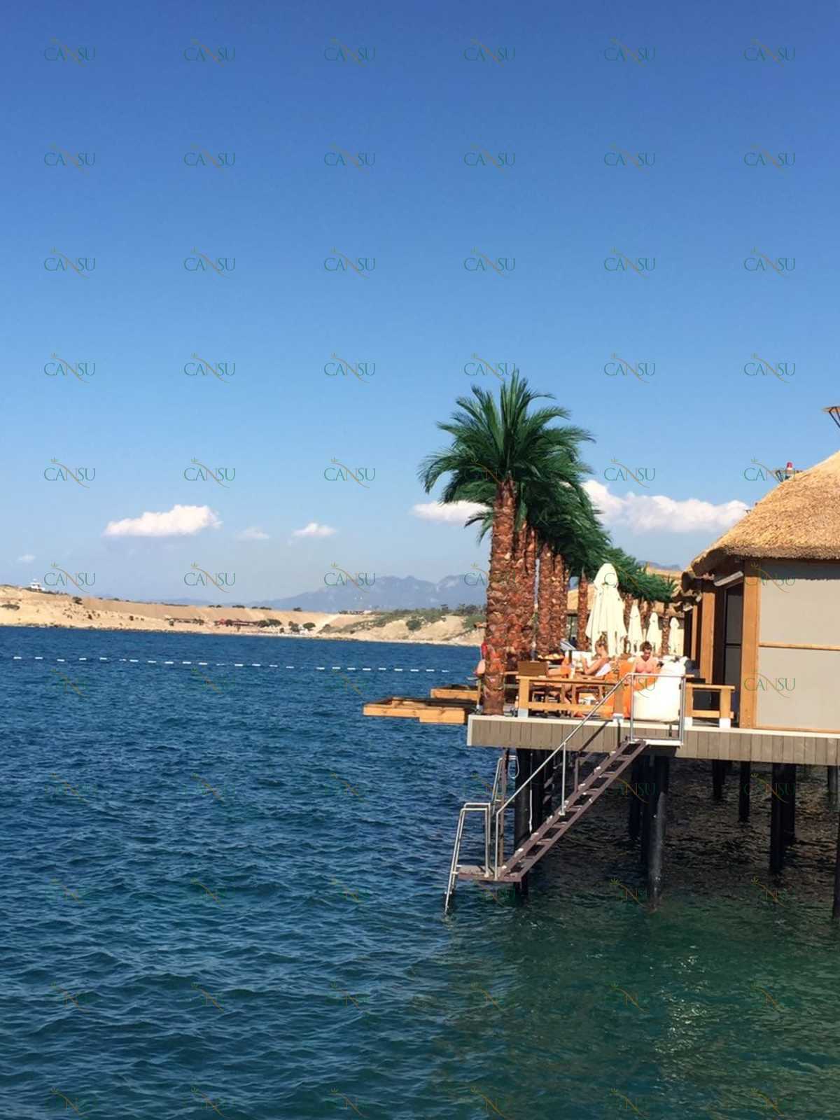 Palmiye, Palmiye Ağacı, Yapay Palmiye, Şoklanmış Palmiye, Yapay Palmiye Ağacı, Şoklanmış Palmiye Ağacı