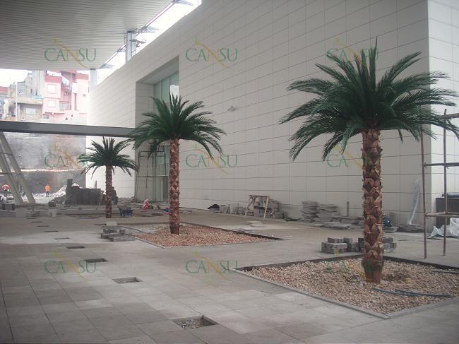 Palmiye, Palmiye Ağacı, Yapay Palmiye, Şoklanmış Palmiye, Yapay Palmiye Ağacı, Şoklanmış Palmiye Ağacı