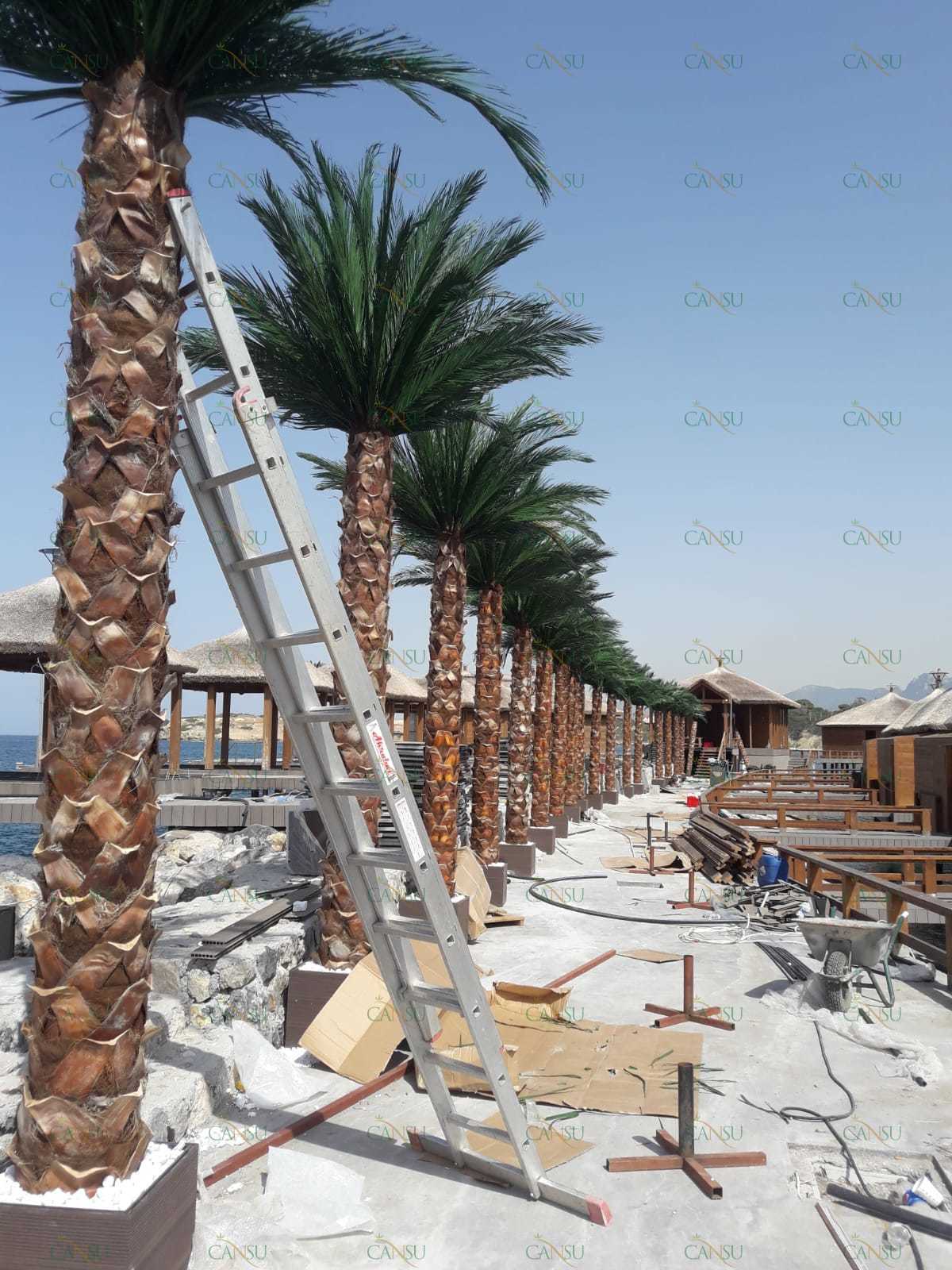 Palmiye, Palmiye Ağacı, Yapay Palmiye, Şoklanmış Palmiye, Yapay Palmiye Ağacı, Şoklanmış Palmiye Ağacı