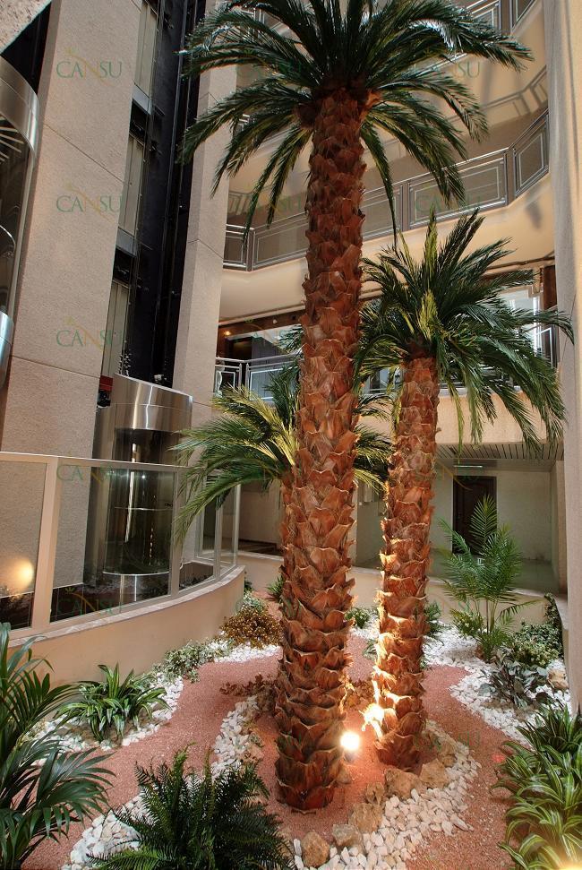 Palmiye, Palmiye Ağacı, Yapay Palmiye, Şoklanmış Palmiye, Yapay Palmiye Ağacı, Şoklanmış Palmiye Ağacı